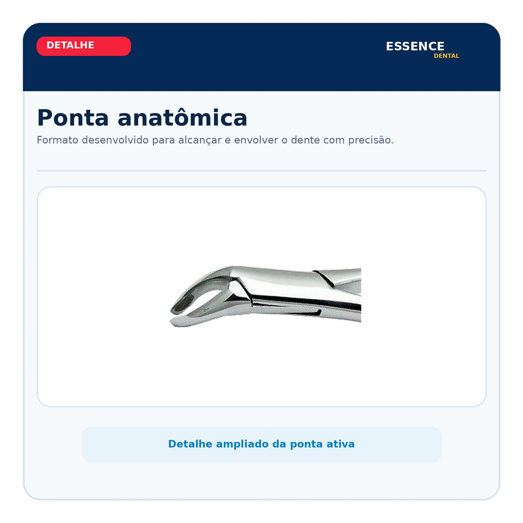 Fórceps Odontológico Adulto - Golgran