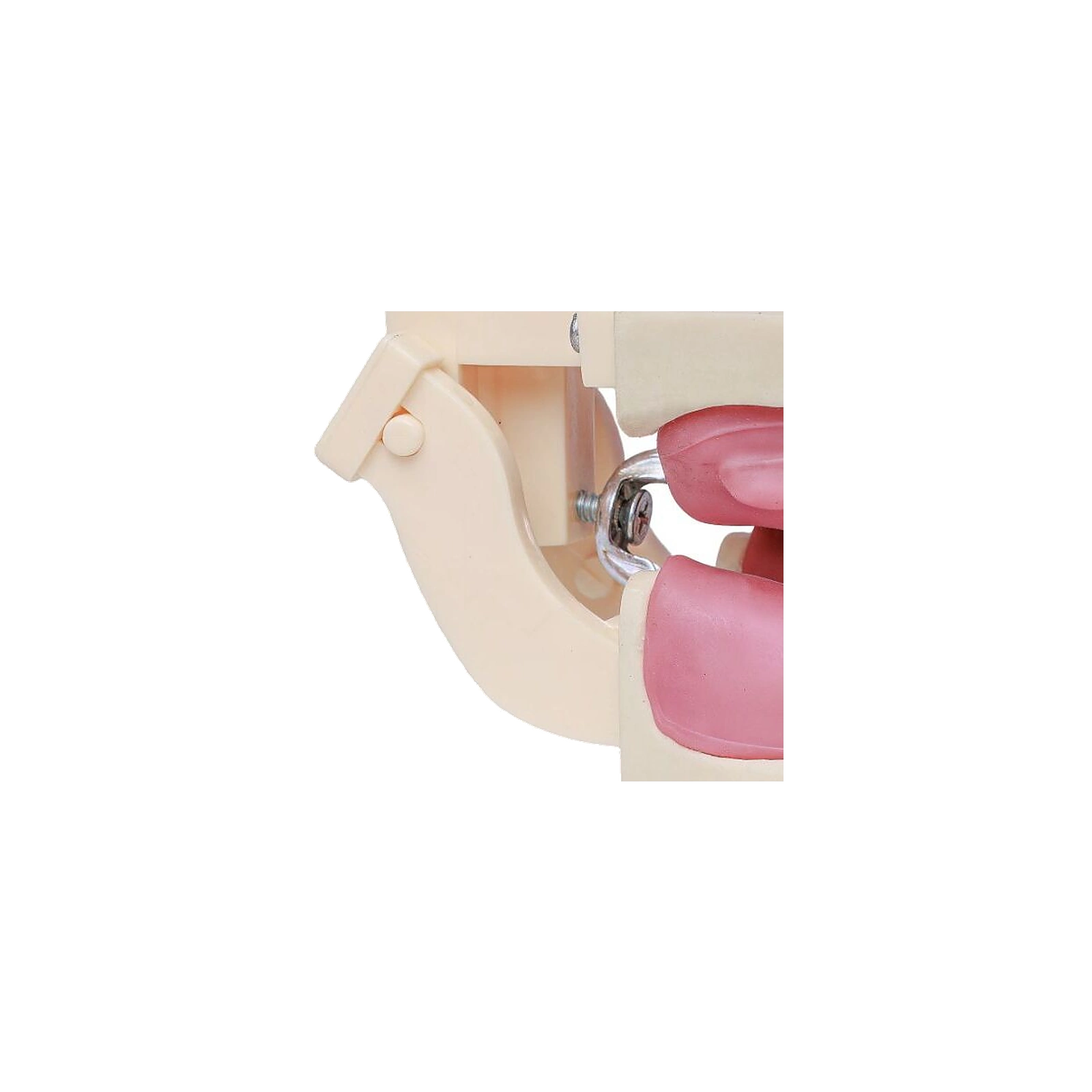 Manequim Cirurgia Articulado - Orais